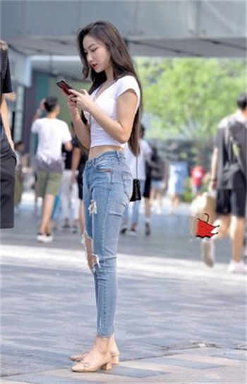 陈老师摄影全集下载