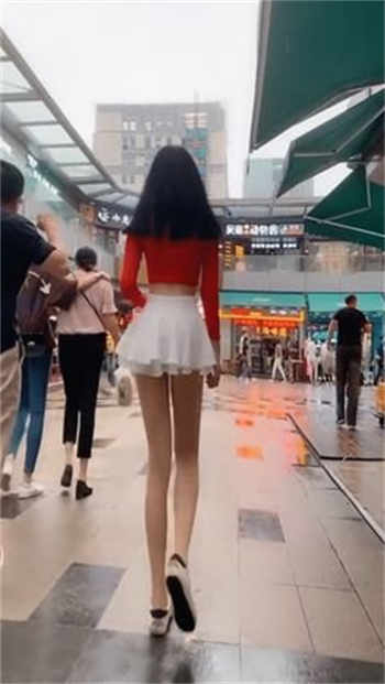 正版樱花官网下载