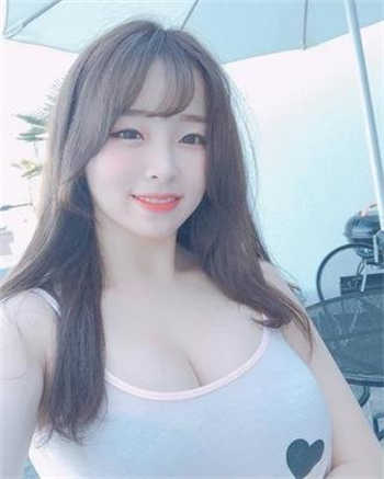 夏晴子有几部